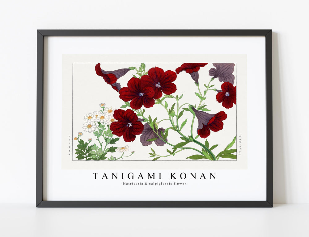 Tanigami Konan - Matricaria & salpiglossis flower