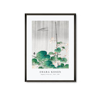 
              Ohara Koson - Begonia in the rain (1930 - 1945) by Ohara Koson (1877-1945)
            