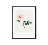 
              Mary Altha Nims - Wild Rose
            