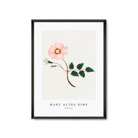 Mary Altha Nims - Wild Rose