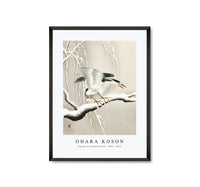 
              Ohara Koson - Emerge on snowy branch (1900 - 1930) by Ohara Koson (1877-1945)
            