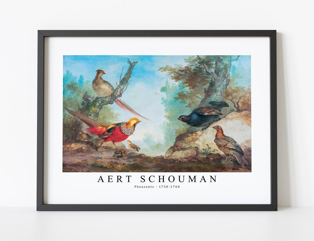 Aert schouman - Pheasants-1730-1760