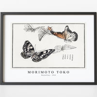 Morimoto Toko - Butterflies illustration from Churui Gafu (1910)