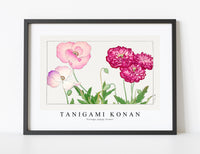 
              Tanigami Konan - Vintage poppy flower
            