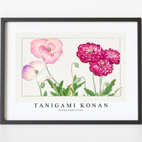 Tanigami Konan - Vintage poppy flower