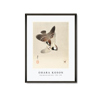 
              Ohara Koson - Ring sparrows and insect (1900 - 1936) by Ohara Koson (1877-1945)
            