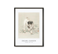 
              Ohara Koson - Young dog (1900 - 1930) by Ohara Koson (1877-1945)
            