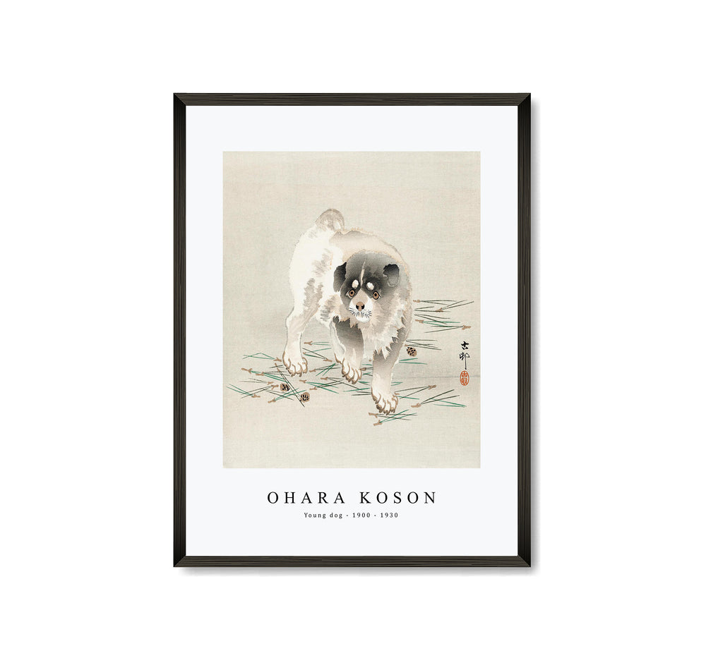 Ohara Koson - Young dog (1900 - 1930) by Ohara Koson (1877-1945)