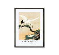 
              Ohara Koson - Japanese crane bird on branch of pine (1900 - 1930) by Ohara Koson (1877-1945)
            