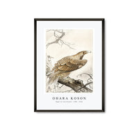 
              Ohara Koson - Eagle on tree branch (1900 - 1910) by Ohara Koson (1877-1945)
            