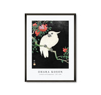 
              Ohara Koson - Cockatoo and Pomegranate by Ohara Koson (1877–1945)
            