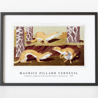 Maurice Pillard Verneuil - Hermines vulgaires from L'animal dans la décoration (1897)