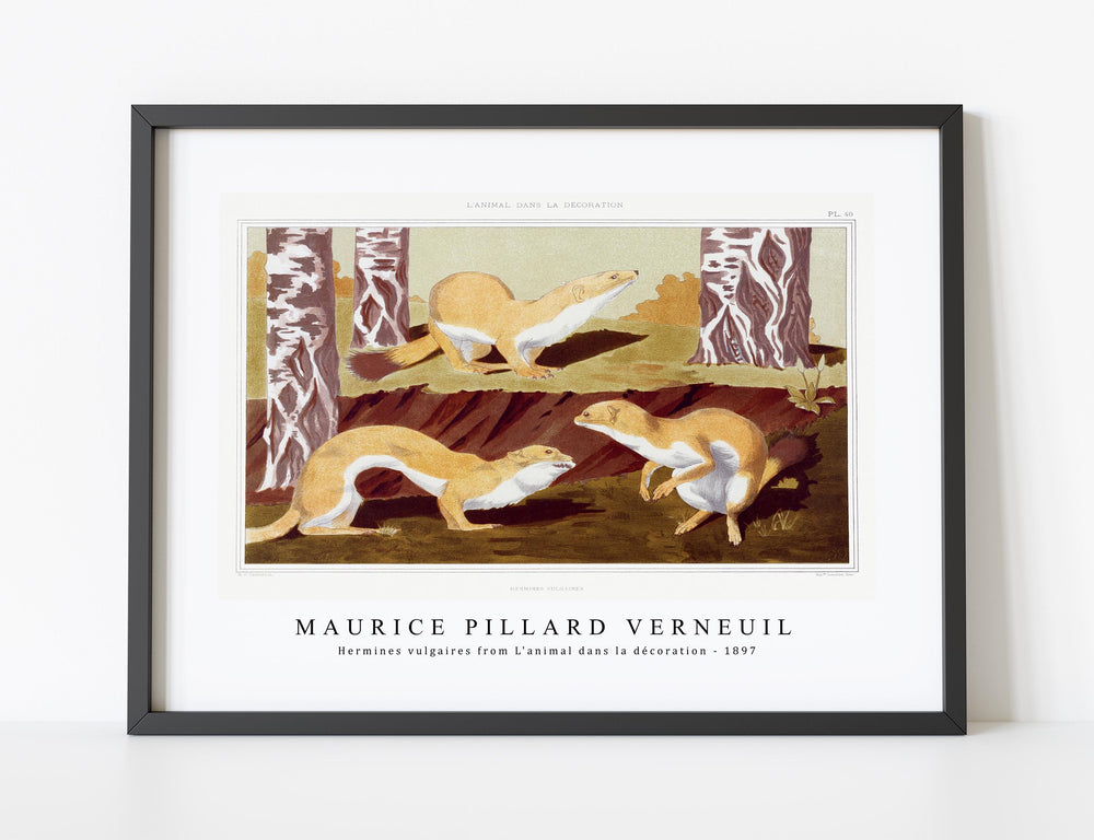Maurice Pillard Verneuil - Hermines vulgaires from L'animal dans la décoration (1897)