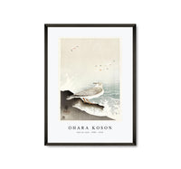 
              Ohara Koson - Gull on rock (1900 - 1910) by Ohara Koson (1877-1945)
            