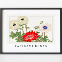 Tanigami Konan - Anemone flower