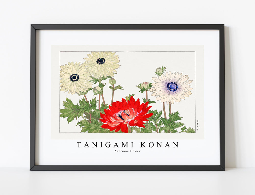 Tanigami Konan - Anemone flower