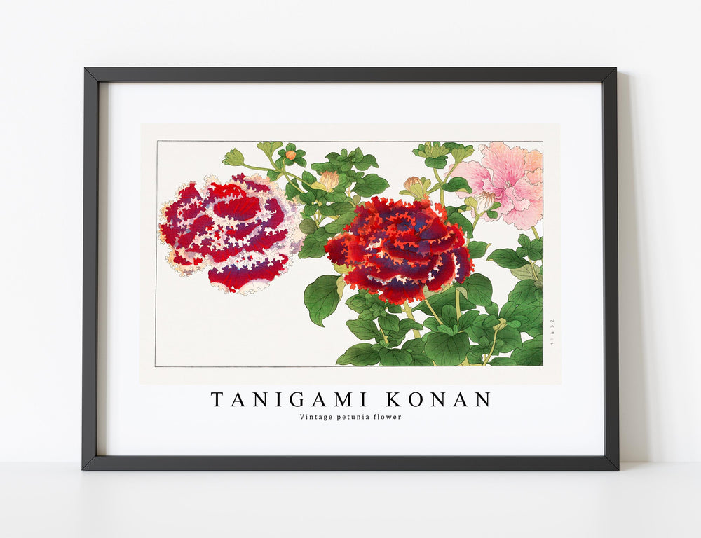 Tanigami Konan - Vintage petunia flower
