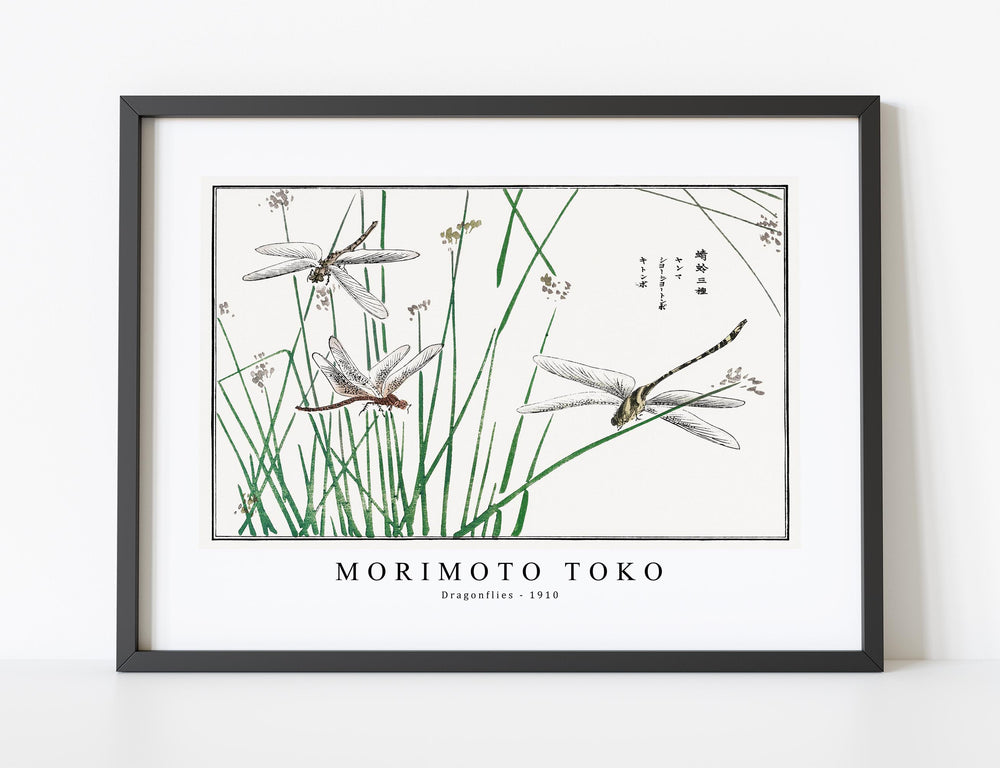 Morimoto Toko - Dragonflies illustration from Churui Gafu (1910)