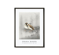 
              Ohara Koson - Two ring sparrows in the rain (1900 - 1930) by Ohara Koson (1877-1945)
            