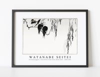 
              Watanabe Seitei - Perched magpies. Illustration from Seitei Kacho Gafu 1890-1891
            