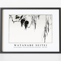 Watanabe Seitei - Perched magpies. Illustration from Seitei Kacho Gafu 1890-1891