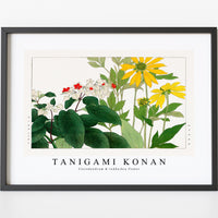 Tanigami konan - Clerodendrum & rudbeckia flower