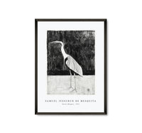 
              Samuel Jessurun De Mesquita - Heron (Reiger) (1911)
            