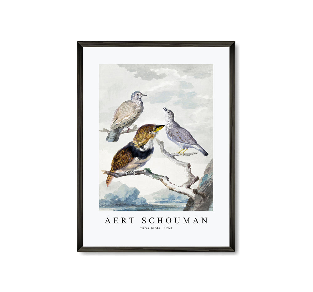 Aert schouman - Three birds-1753