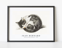 
              Jean Bernard - Rolled up lying sleeping cat (1825)
            