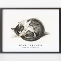 Jean Bernard - Rolled up lying sleeping cat (1825)