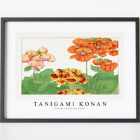 Tanigami Konan - Vintage calceolaria flower