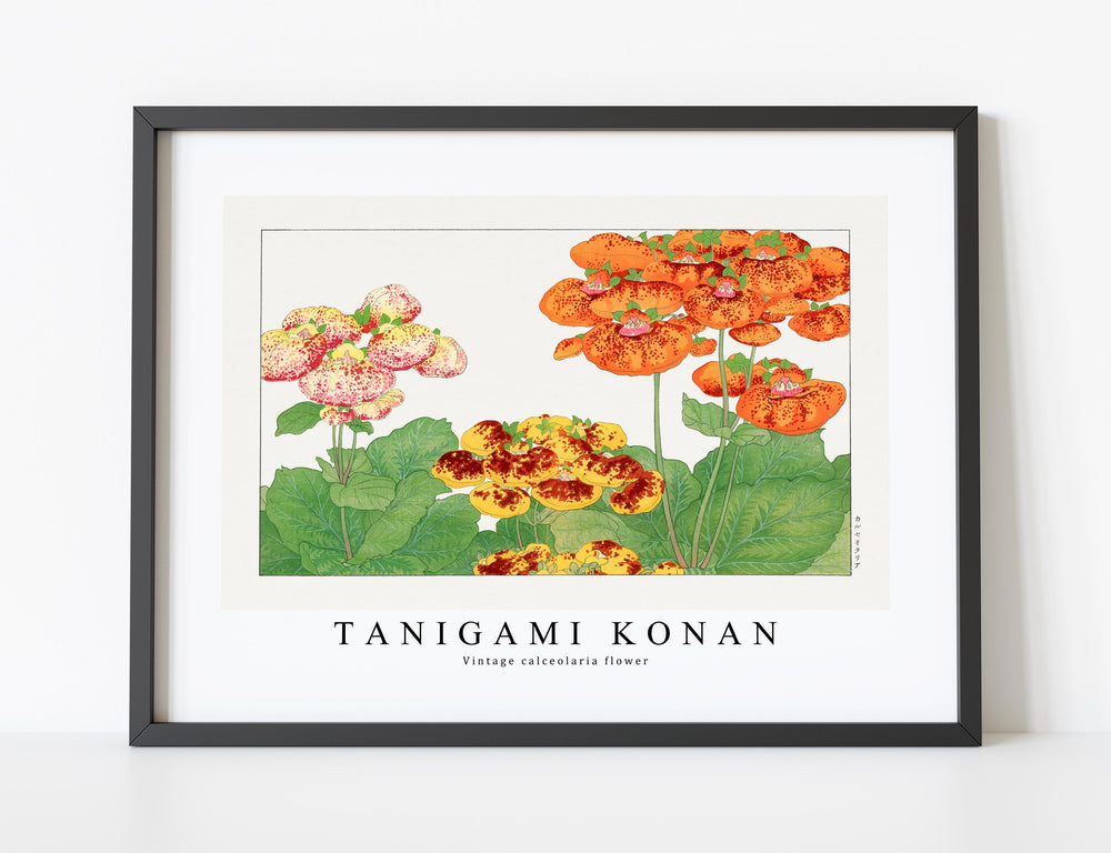 Tanigami Konan - Vintage calceolaria flower