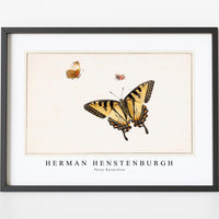 Herman Henstenburgh - Three Butterflies