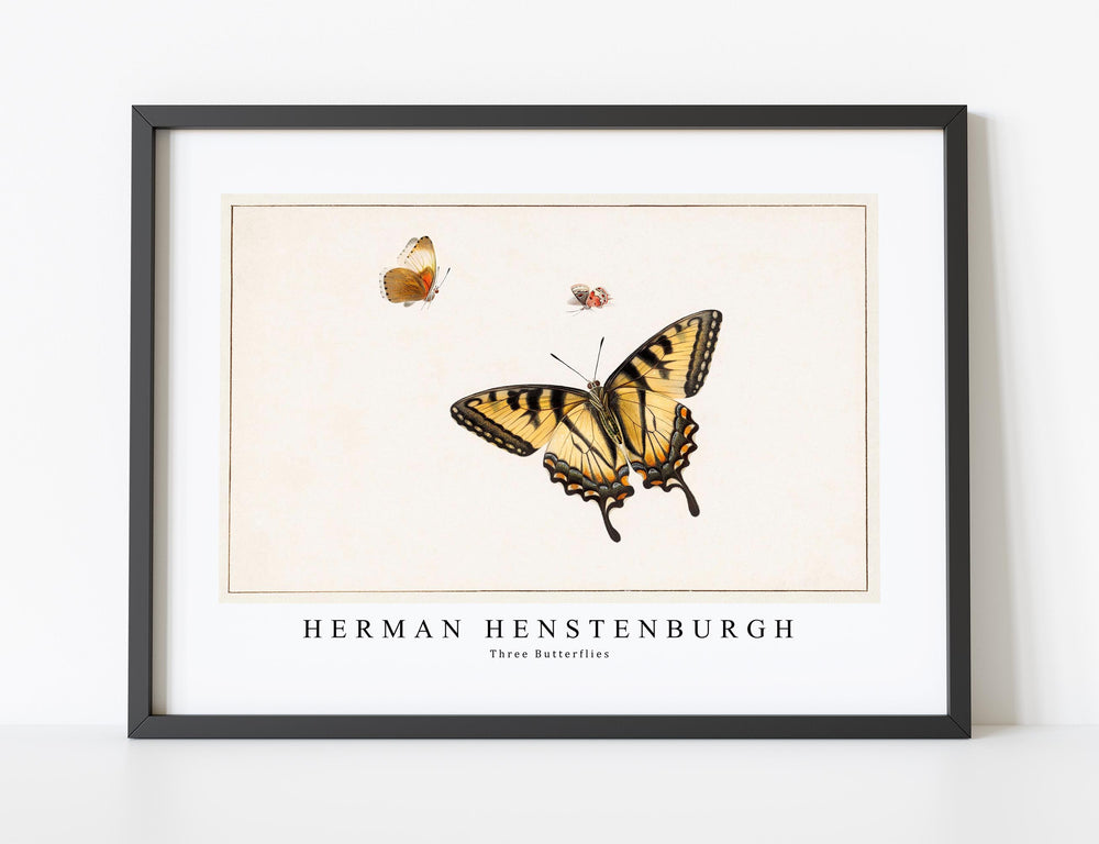 Herman Henstenburgh - Three Butterflies