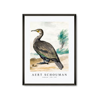 aert schouman - Cormorant -1720-1792