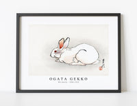 
              Ogata Gekko - Wit konijn (1900–1910)
            