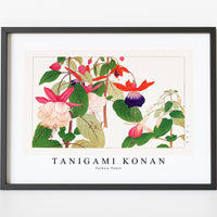 Tanigami Konan - Fuchsia flower