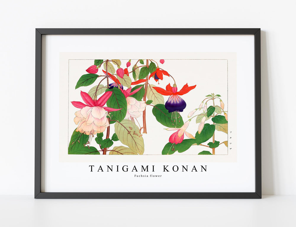 Tanigami Konan - Fuchsia flower