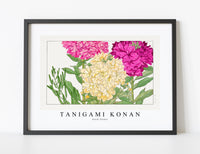 
              Tanigami Konan - Stock flower
            