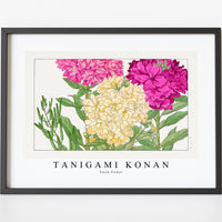 Tanigami Konan - Stock flower