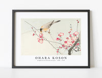 
              Ohara Koson - Songbird on blossom branch (1900 - 1936) by Ohara Koson (1877-1945)
            
