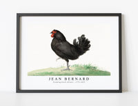 
              Jean Bernard - Standing black chicken (1775–1833)
            