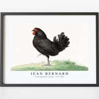 Jean Bernard - Standing black chicken (1775–1833)