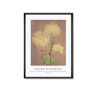 
              Ogawa Kazumasa - Beautiful photomechanical prints of Three Yellow Chrysanthemums (1887–1897)
            