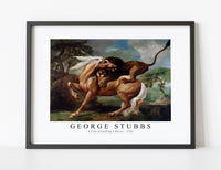 
              George Stubbs - A Lion Attacking a Horse 1762
            