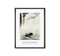 
              Ohara Koson - Japanese wagtail at waterfall (1900 - 1930) by Ohara Koson (1877-1945)
            