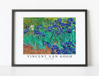 
              Vincent Van - Gogh-Irises 1889
            