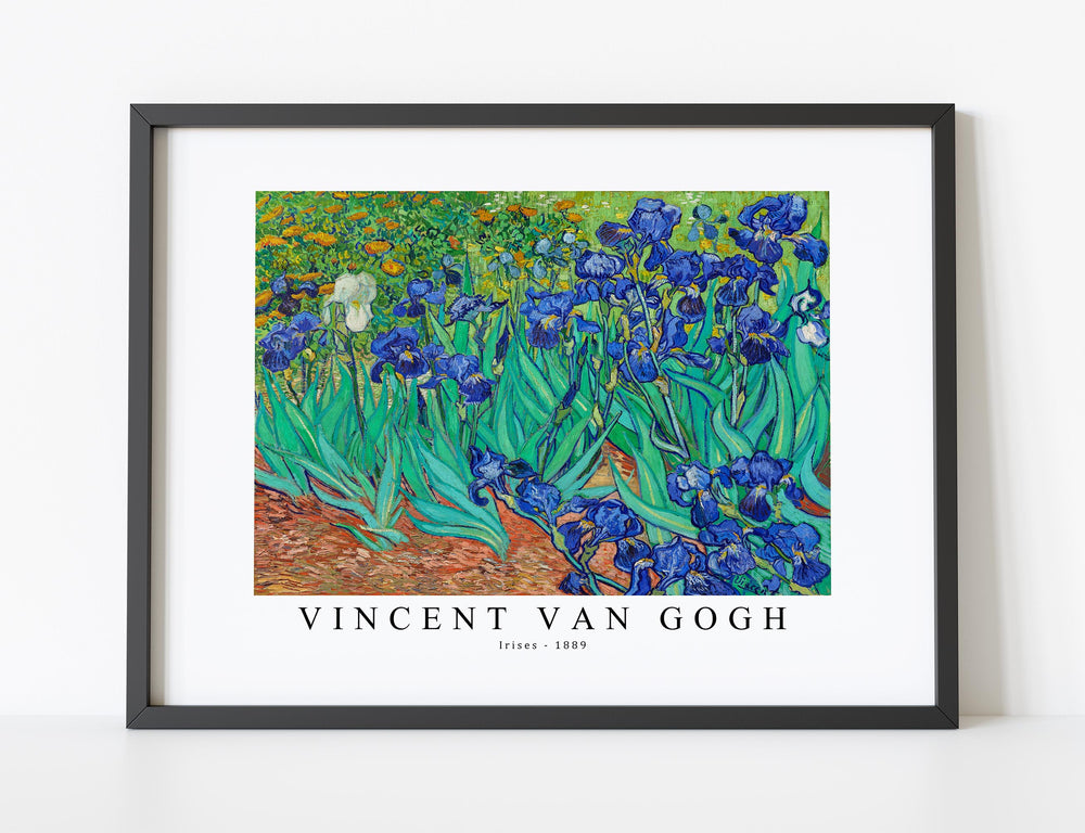 Vincent Van - Gogh-Irises 1889