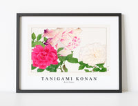 
              Tanigami Konan - Rose flower
            