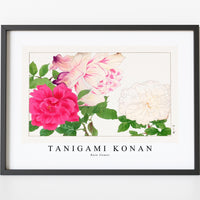 Tanigami Konan - Rose flower